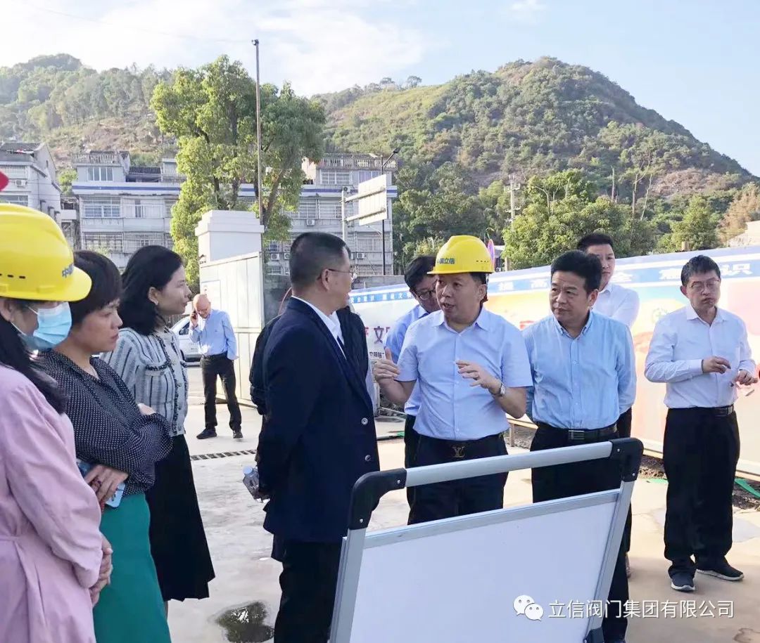 白水馬岙地塊 白水馬岙地塊