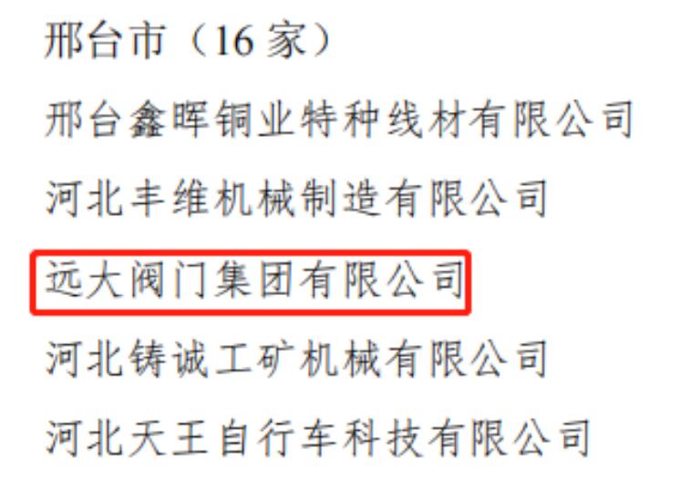 遠大閥門集團榮獲2022年河北省專精特新示范企業(yè) 遠大閥門集團榮獲2022年河北省專精特新示范企業(yè)