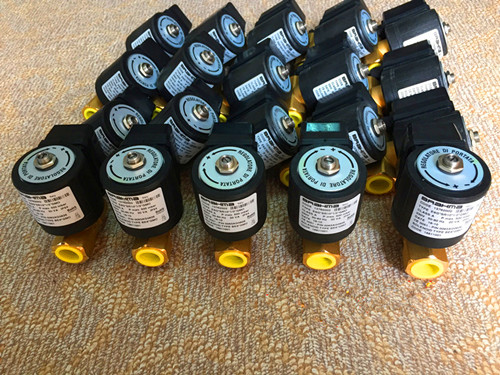 BRAHMA늴yE6G*S8*1/4*GMO